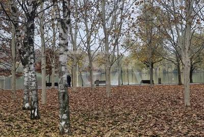 Apartament cu 2 camere la 12 minute de metrourile Dristor 1 si Grigorescu - 28