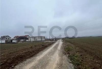 Teren în Cheriu - 4