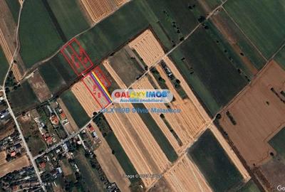 Crevedia - Darza - Teren 13.055 Mp - 15