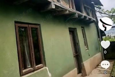 Casă cu 6 camere cu Teren 3365 Mp în Constantin Brâncoveanu - 3
