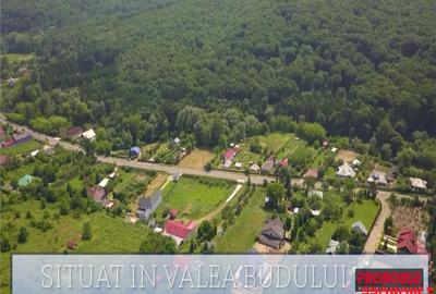 Valea Budului - Teren intravilan. Lac. Padure - 4