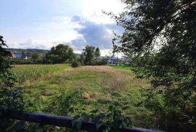 Spațiu comercial, în Davidești - 4