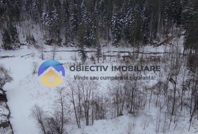 Teren Construcții intravilan de 2283 mp, în Tarcău - 8