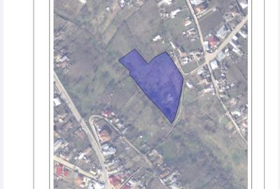 Teren de 7800 mp, în Central - 1