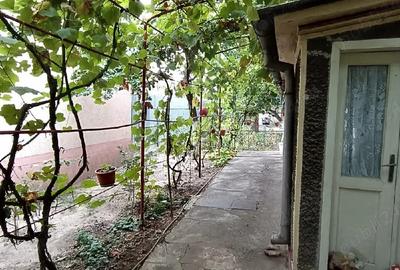 Casa de vanzare Braila - 5