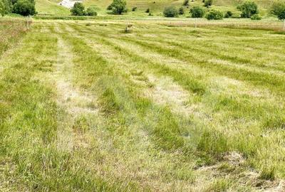 Casa 4 cam.+ teren de vanzare in Cartierul Turnisor, Zona Exclusivista - 13