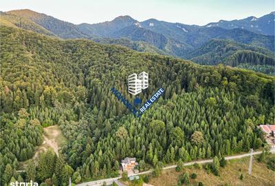 Teren de 7000 mp, în Central - 10