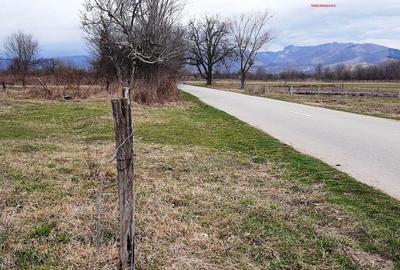 TEREN INTRAVILAN SI EXTRAVILAN POLOVRAGI - BENGEASCA - 4