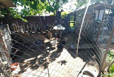 Casă cu 4 camere cu Teren 1000 Mp în Mărăcineni - 4