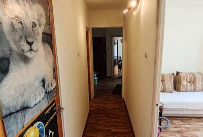 Apartament cu 3 camere decomandat în Camil Ressu - 30