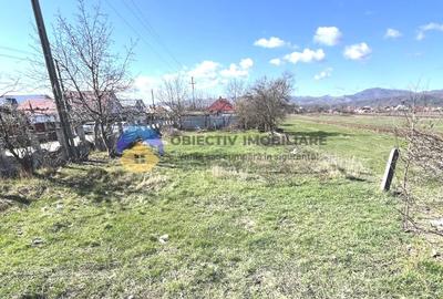 TEREN intravilan  comuna SAVINESTI - 8
