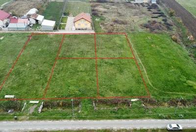Trei parcele de 600 mp in Botiz | Toate utilitatile, aproape de oras - 8