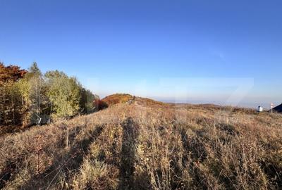 Teren de vanzare la drum asfaltat Ramet - 1