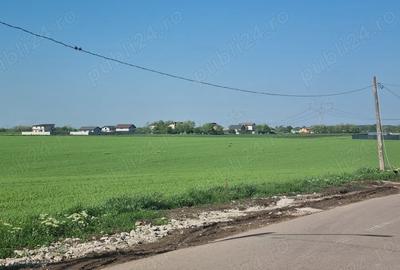 Teren de 600 mp, în Frumușani - 7