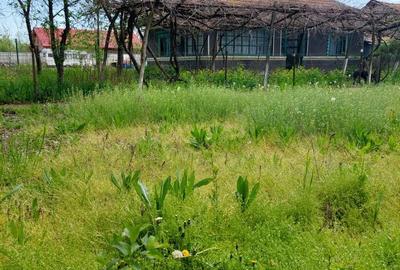 Spațiu comercial, în Merii Petchii - 3