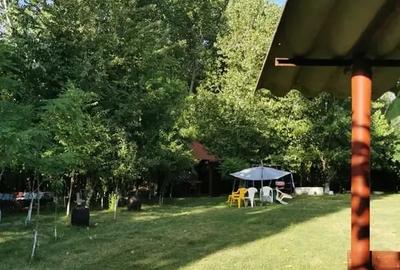 Teren in Contesti, Dambovita - 3