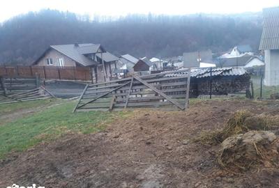 Teren de 2800 mp, în Tiha Bârgăului - 2
