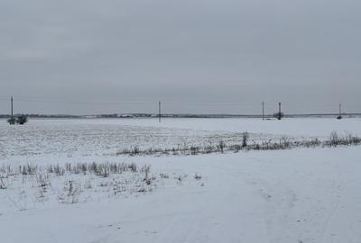 Teren 34.263 mp Ciorogârla | Oportunitate investiție - Complex de Case - 2