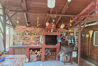 CASA DE VACANTA - UN MIC COLT DE RAI , STEFANESTI, ARGES CASA DE VACANTA - UN MIC COLT DE RAI , STEFANESTI, ARGES - 9