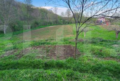 Teren de 6659 mp, în Nisipoasa - 1