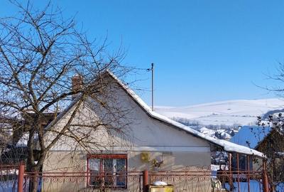 Casă cu 1 camere în Central - 1