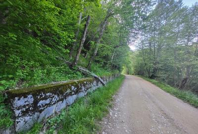 Teren de 12.000 mp la Vama Buzăului - Locație de Vis cu PUZ Aprobat - 12