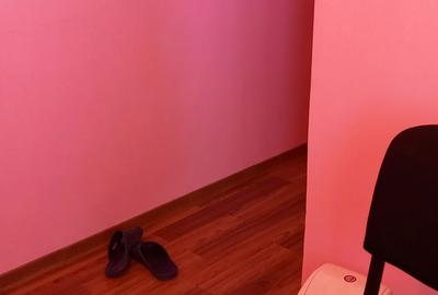 Garsonieră în Gruia - 3