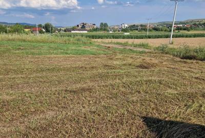 Spațiu comercial, în Aghireșu - 3