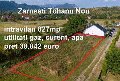 Teren Construcții intravilan de 827 mp, în Zărnești