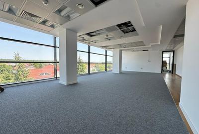 BIROURI PREMIUM PIPERA - IANCU NICOLAE - 2