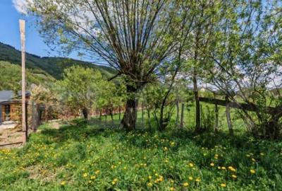 Teren intravilan, 1865 mp, de vanzare in Moieciu - Brasov - 5