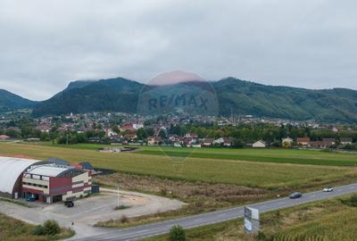 Teren Construcții intravilan de 790 mp, în Baciu - 5