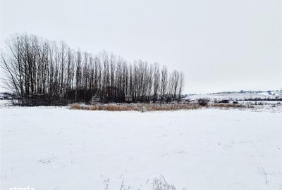 Spațiu comercial, în Central - 1