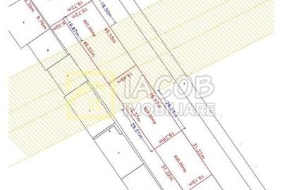 Teren Construcții intravilan de 3155 mp, în Bogdan Vodă - 4