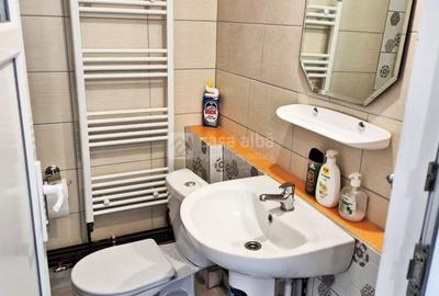 Bucium, apartament 1 camera cu terasa si garaj, la casa - 9