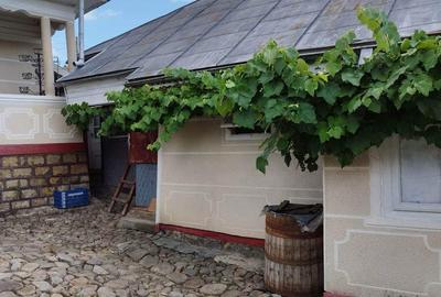 Casă cu 4 camere în Dragosloveni (Soveja) - 4