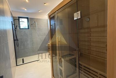 Duplex cu 5 camere cu Canalizare în Iancu Nicolae - 15