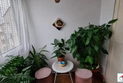 Apartament 3 camere Micro 16 din BCA - 3