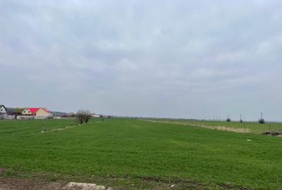 Teren Bolintin Deal 2000 mp New 2024 - 3