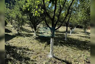 Casă cu 4 camere cu Canalizare în Micești - 1