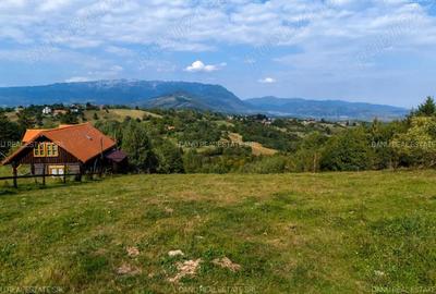 Teren de 10131 mp, în Sohodol - 1