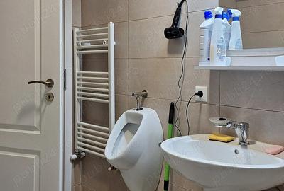 Apartament de dat in chirie - 10