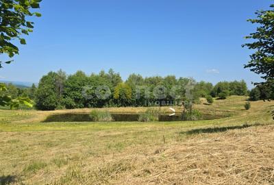 Teren Construcții intravilan de 1000 mp, în Sălicea - 2