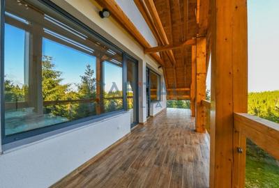 Pensiune de lux, 8 dormitoare D+P+M+P, teren 2200 mp, Statiunea Muntele Baisorii - 28