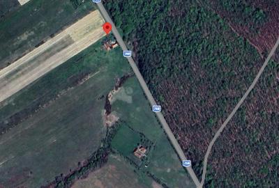 Teren Construcții intravilan de 5754 mp, în Lăzăreni - 2