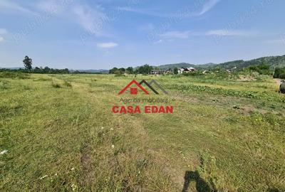 Casă cu Teren 7500 Mp în Voila