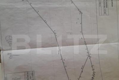 TEREN Extravilan 15000 MP in Zona Codlea TEREN Extravilan 15000 MP in Zona Codlea - 1