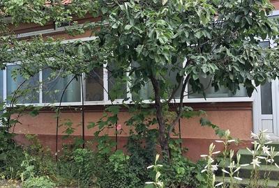 Casă cu 3 camere cu Teren 1700 Mp în Brebeni - 6