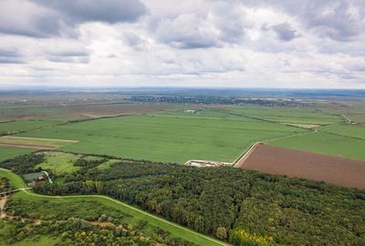 Teren arabil de 30 hectare in Constan?a - 1