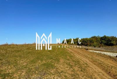 Teren agricol extravilan de 651 mp, în Rusciori - 6